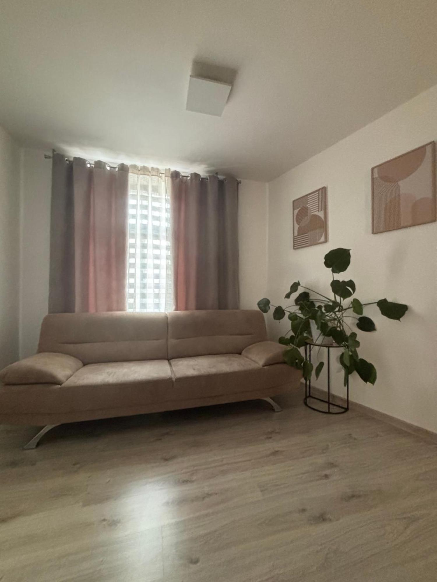 Penzion U Radnice, Byt 3 즈노이모 외부 사진
